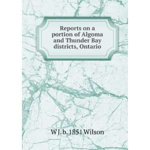   Algoma and Thunder Bay districts, Ontario: W J. b. 1851 Wilson: Books