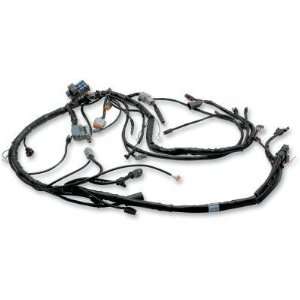  S&S Cycle EFI Wiring Harness 106 0478: Automotive
