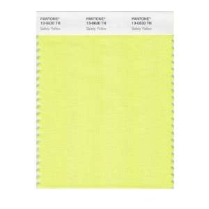  Pantone 13 0630 Nylon Brights Color Swatch Card: Home 
