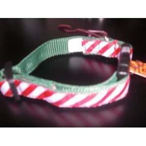  OLD NAVY SUPPLY CANDY CANE DOG COLLAR SMALL: Everything 