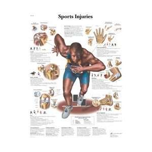 Sports Injuries   Anatomical Chart:  Industrial 