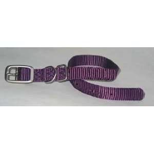  Dog Collar   B Ste 12Pm   Bci: Pet Supplies