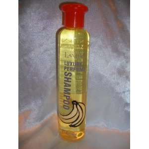  Lantern Luxury Perfume Shampoo Banana Scented 9.17 Fl Oz 