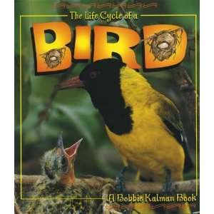  Crabtree Publishing   The Life Cycle of A Bird: Everything 
