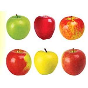  Classic Accents Apples Variety Pk: Office Products
