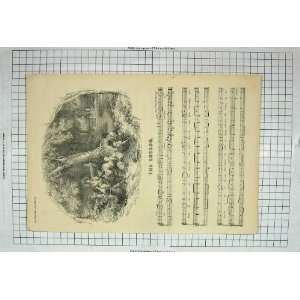  Sheet Music Cuckoo Lyrics Song Sheet Antique Print