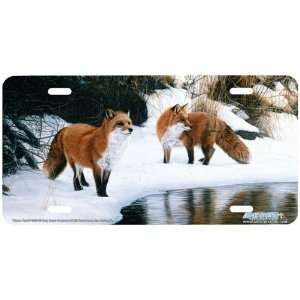 3526 Shore Patrol Red Fox License Plate Car Auto Novelty Front Tag 