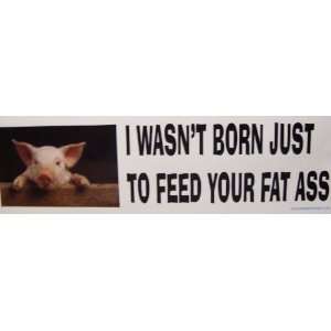 3x10 Vinyl Funny Vegetarian Vegan Coexist Awareness Sticker Stickers 