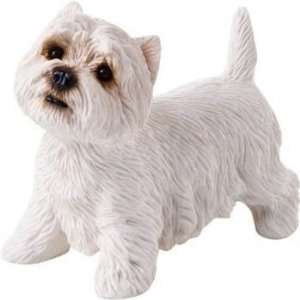  Small Size West Highland White Terrier: Everything Else