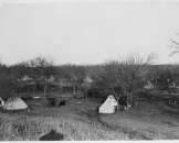 early 1900s photo Tent camp in Indian territory gr  