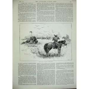    1889 Scene Fight Buffalo Africa Man Horse Gun Sport