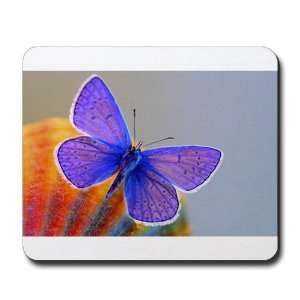  Mousepad (Mouse Pad) Xerces Purple Butterfly Everything 