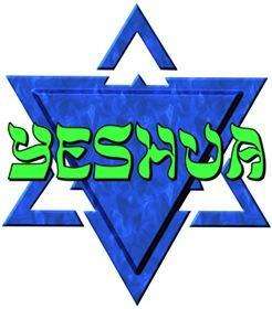 Yeshua Star of David Cross Stitch Messianic Christian  