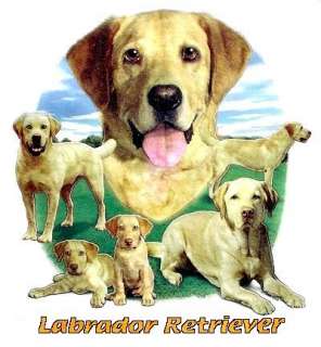 YELLOW LAB LABRADOR RETRIEVER DOG TANK TOP OR T SHIRT 1  