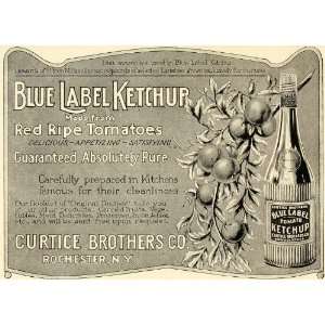 com 1905 Ad Curtice Blue Label Ripe Tomato Ketchup Sauce Vine Catsup 