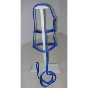  Miniature Horse / Small Pony Blue Halter and Lead MED 