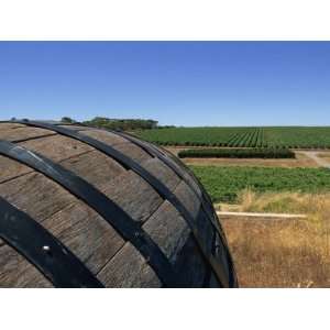  Old Wine Barrel, Maxwell Wines, Mclaren Vale, South 