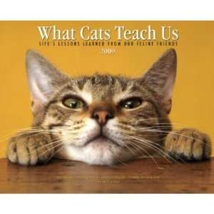    What Cats Teach Us 2009 Calendar From Willow Creek