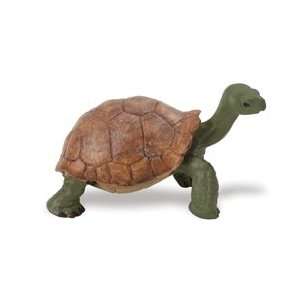  Wild Safari Wildlife: Tortoise: Toys & Games