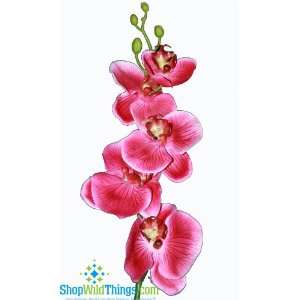  Phalaenopsis (Orchid) Flower Spray   Magenta 30.5 Home 