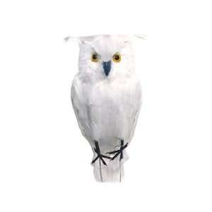   Accents Display Bird Owl 14 Standing, Feather, White: Home & Kitchen