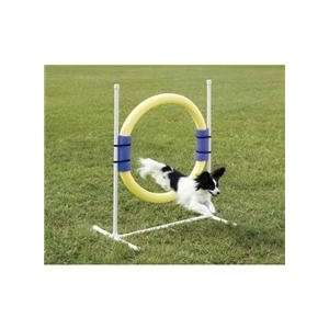   Agility Playset For Dogs Ring Jump Agility Playset For Dogs Pet