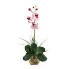Silk Floral Arrangement Orchid Mini Vanda Purple by Nea
