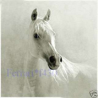 Modern Large Animal oil painting of Art canvas  white horse  