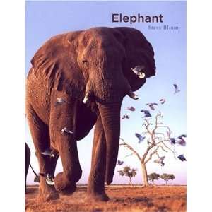  Elephant n/a  Author  Books