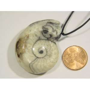 Ammonite Nautiloid Fossil Specimen Pendant Necklace Jewelry Lapidary