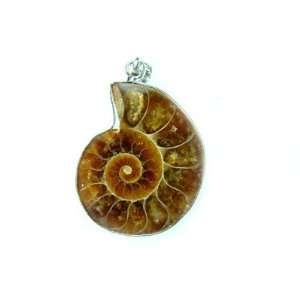  PE0103 Madagascar Ammonite Fossil Crystal Pendant Jewelry