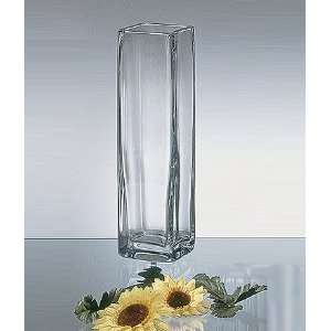  Crystal Vision Square Vase   13.75 inches by Laura B