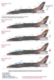 Caracal Decals 1/48 F 100 SUPER SABRE AIR NATIONAL GUARD UNITS  