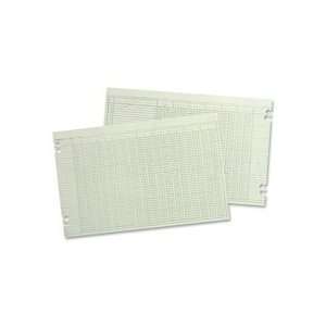    Acco/Wilson Jones Columnar Ruled Ledger Sheets: Office Products