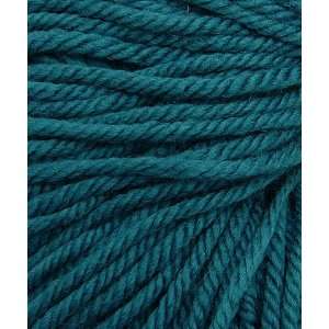  Debbie Bliss Cashmerino Aran Yarn 10 Teal Arts, Crafts 