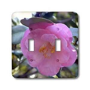 WhiteOak Photography Camellias   Pink Camellia   Light Switch Covers 