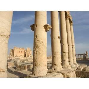  Temple of Bel, Archaelogical Ruins, Palmyra, Unesco World 