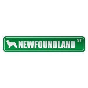   NEWFOUNDLAND ST  STREET SIGN DOG: Home Improvement