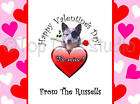 AUSTRALIAN CATTLE DOG Valentine Cards VALENTINES DAY