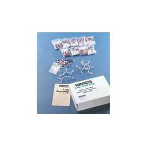  DNA and RNA Molecular Structure Lab Activity Toys & Games