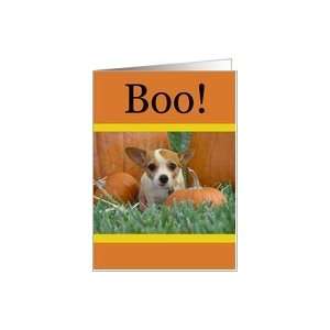  Boo Chihuahua Pumpkins. Happy Halloween Card Health 