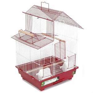  Bird Cage 16X14x24 2/Cs: Pet Supplies