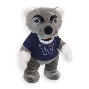  University of Washington Mascot Teddy Bear: Toys & Games