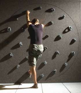 Freedom Climber Rotating Indoor Rock climbing Wall NEW  
