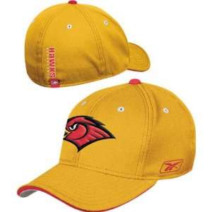 Atlanta Hawks Official Team Flex Fit Hat  Sports 