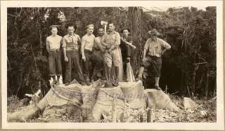 1939 Panama Canal Army Engineers Cut Jungle Tree Photos  