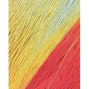  Twisted Sisters Mirage Hand Paints Yarn 56A YM 010406 1 