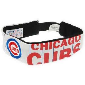  Chicago Cubs Fan Band