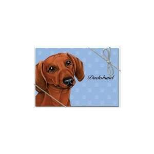 Dachshund (Reddish brown color) Boxed 8 Notecards with Envelopes 3.5 