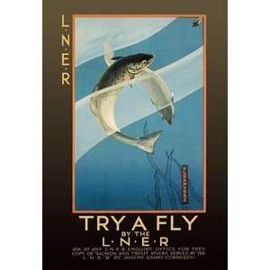  Try a Fly   Paper Poster (18.75 x 28.5): Sports & Outdoors